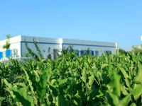 Hotel Mavi Beyaz 3*