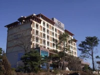 Dong Busan Tourist Hotel 3*