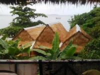 The Mango Rooms 