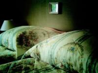 Loo Guesthouse