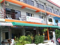 Pineapple Guesthouse 1*