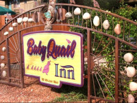 Baby Quail Inn