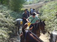 Agriturismo Masseria I Risi