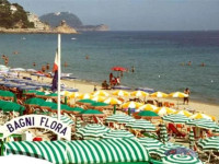 Flora