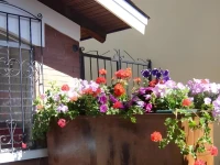 Dai Nonni Hotel 3*