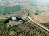 Tenuta di Colle Alberti 3*
