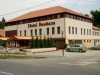 Bassiana