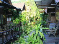 Banana Garden Home