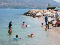 Alis Pension