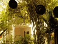 La Noria 