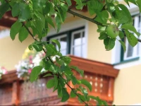Pension Glitschnerhof 1*