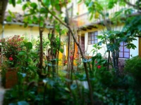Hostal Villa Del Rosario 2*