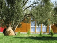 Almondville Bungalows 