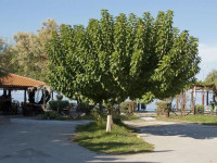 Anetis Hotel