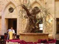 Olive Tree Hotel Jerusalem
