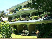 Paradise Garden