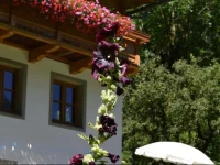 Unternigglerhof 1*