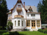 Vila Camelia