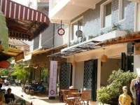 The Purple Mangosteen 3*