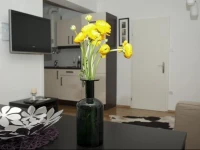 Casa Vienna 1*