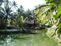 Le Parasol Blanc Hotel