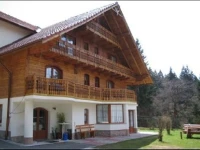 Vila Casa Viorel 4*