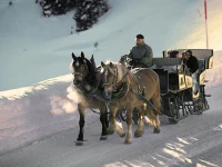 Pension Grissemann 3*