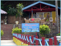 Dive Link