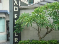 Dryad Motel 4*