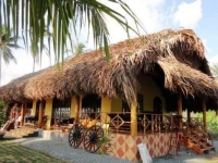 Mango Homestay 3*