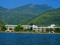Kamelija