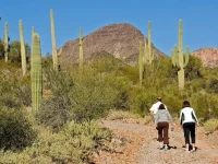 Hampton Inn Tucson-North 3*