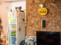 Hostel Alice 1*
