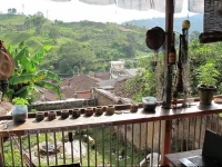 Coffee Town Hostel 1*