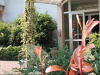 Hotel Cremona Viale