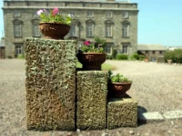 Moresby Hall 5*