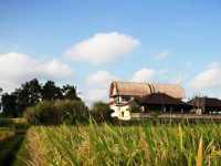 Villas Kubu Kedungu