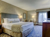 Crowne Plaza Hotel Columbus - Dublin 4*