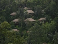 Nandini Bali Jungle Resort &amp; Spa Ubud 4*