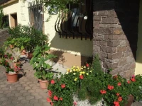 Haus Garz 2*