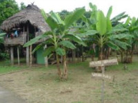 Punta Patio Lodge