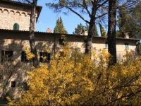 Agriturismo Biologico Palazzi Rufini 2*