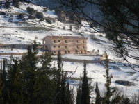 Anerada