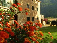 Finca Son Brondo 4*