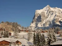 Belvedere Swiss Quality 4*