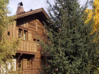 Chalet Reine Des Pres