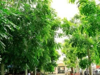 Van Phat 1 Hotel 4*