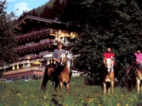 Alpinparadies Ellmauhof 4*