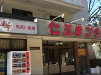 Kinugawa Niouson Plaza Hotel 3*