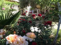 Les Jardins de Skoura 3*